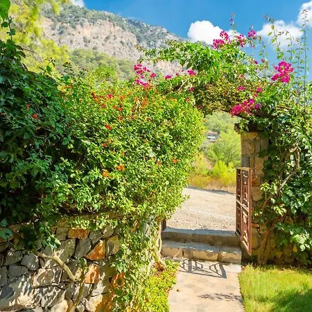 Villa Villa Dilara