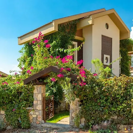 Villa Dilara